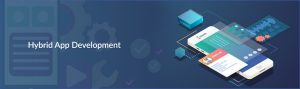 Hybrid App Development Company in Noida enhances your business worldwide