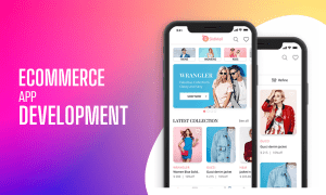 eCommerce app development services in Delhi helps to expand profitability in your business