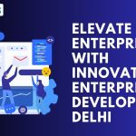 Elevate Your Enterprise with Innovative Enterprise App Development Delhi