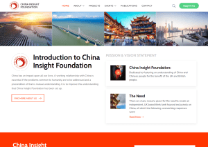 China Insight Foundation