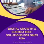 Digital Growth & Custom Tech Solutions for SMEs USA